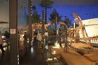 恐竜博物館では、フクイラプトルをはじめとする全身骨格や、千数百点もの標本を見学しました。まさに国内最大の博物館を堪能しました。